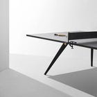 Ping Pong Table
