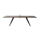 Ping Pong Table