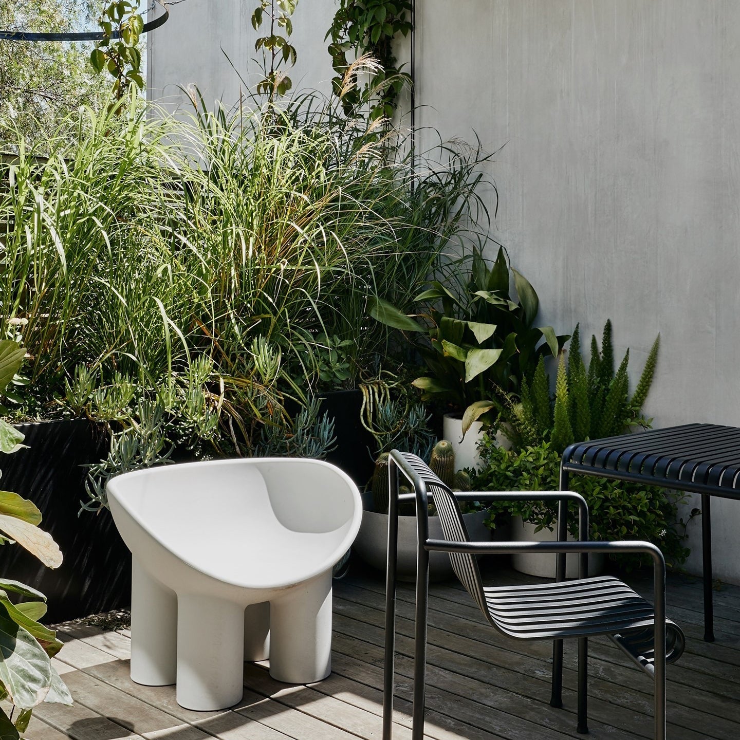 Driade Roly Poly Armchair - 2Modern