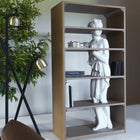 Venus Shelf