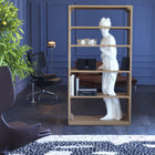 Venus Shelf