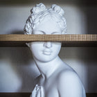 Venus Shelf