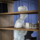 Venus Shelf