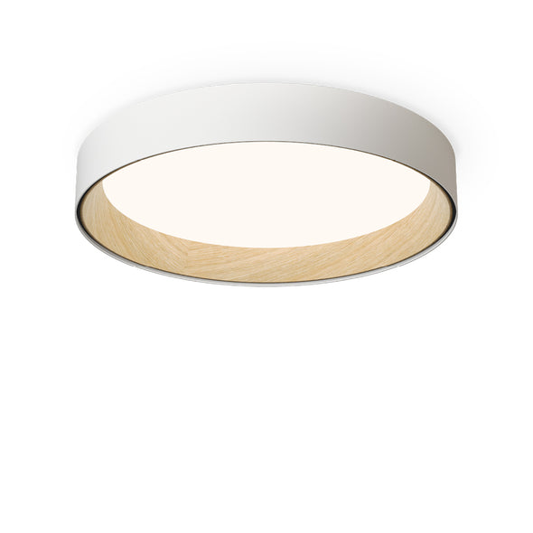 Duo Flush Mount