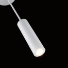 Caliber LED Indoor / Outdoor Pendant Light