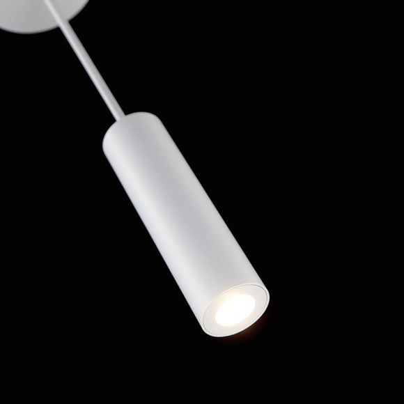 Caliber LED Indoor / Outdoor Pendant Light