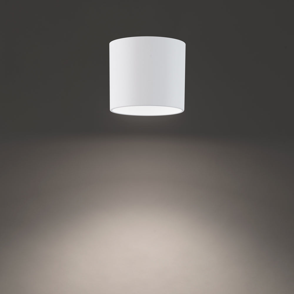 Downtown LED Outdoor Flush Mount