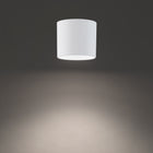 Downtown LED Outdoor Flush Mount