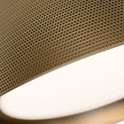 Grille LED Flush Mount