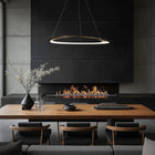 Oyster LED Pendant Light