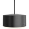 Roton Outdoor Pendant Light  option Black