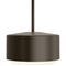 Roton Outdoor Pendant Light  option Bronze