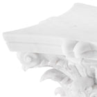 Eichholtz x The Met Acanthus Coffee Table