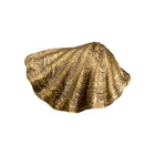 Almandine Shell Decorative Bowl