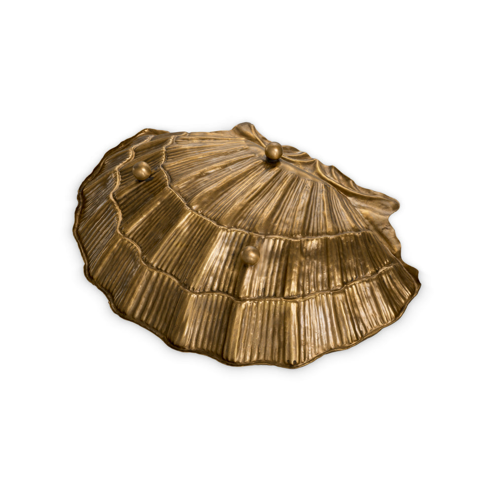 Seashell Bowl