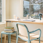 Emeco Birds