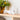 Emeco Birds
