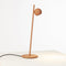 Compass LED Table Lamp  option Terracotta