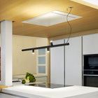 Morse Linear LED Pendant Light