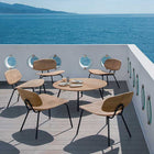 Agave Outdoor Lounge Chair