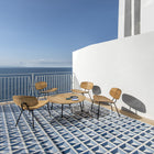 Agave Outdoor Lounge Chair