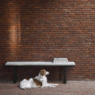 Stability Bench