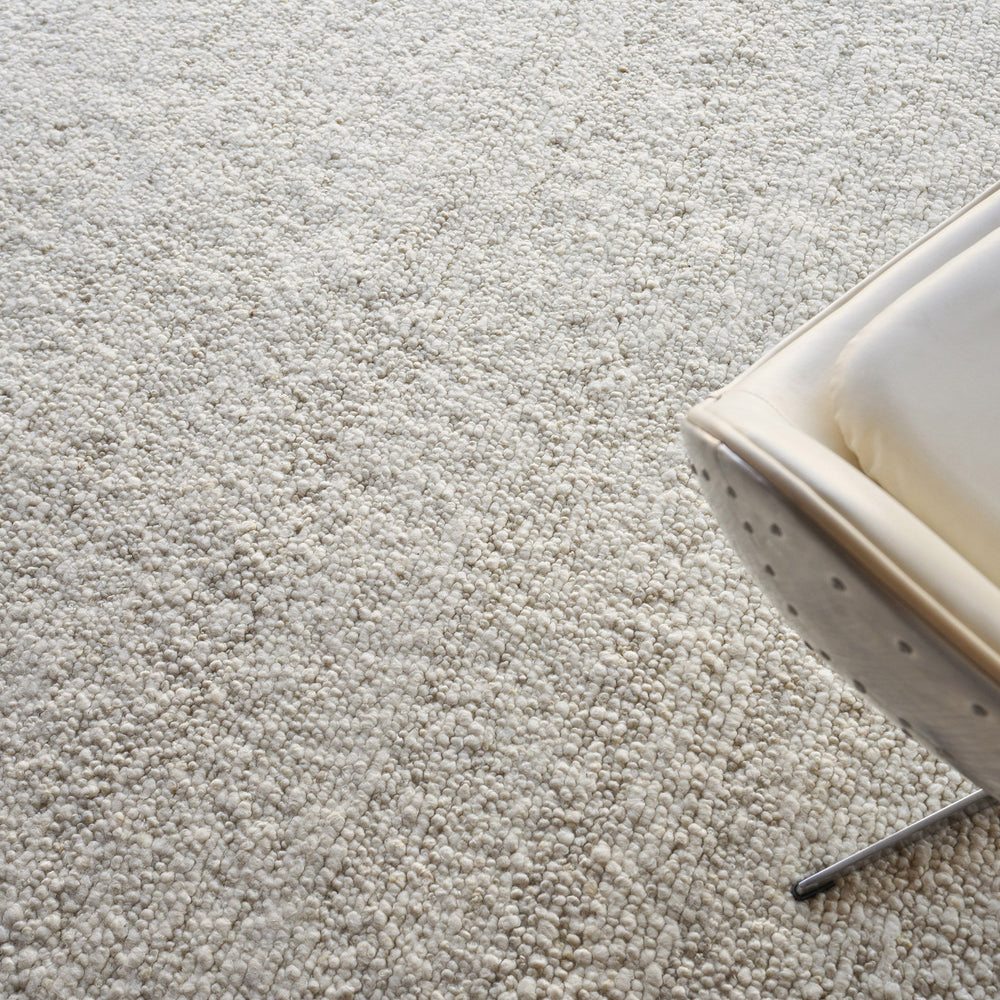 Borelli Area Rug