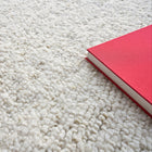 Borelli Area Rug