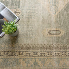 Estate Medallion Area Rug