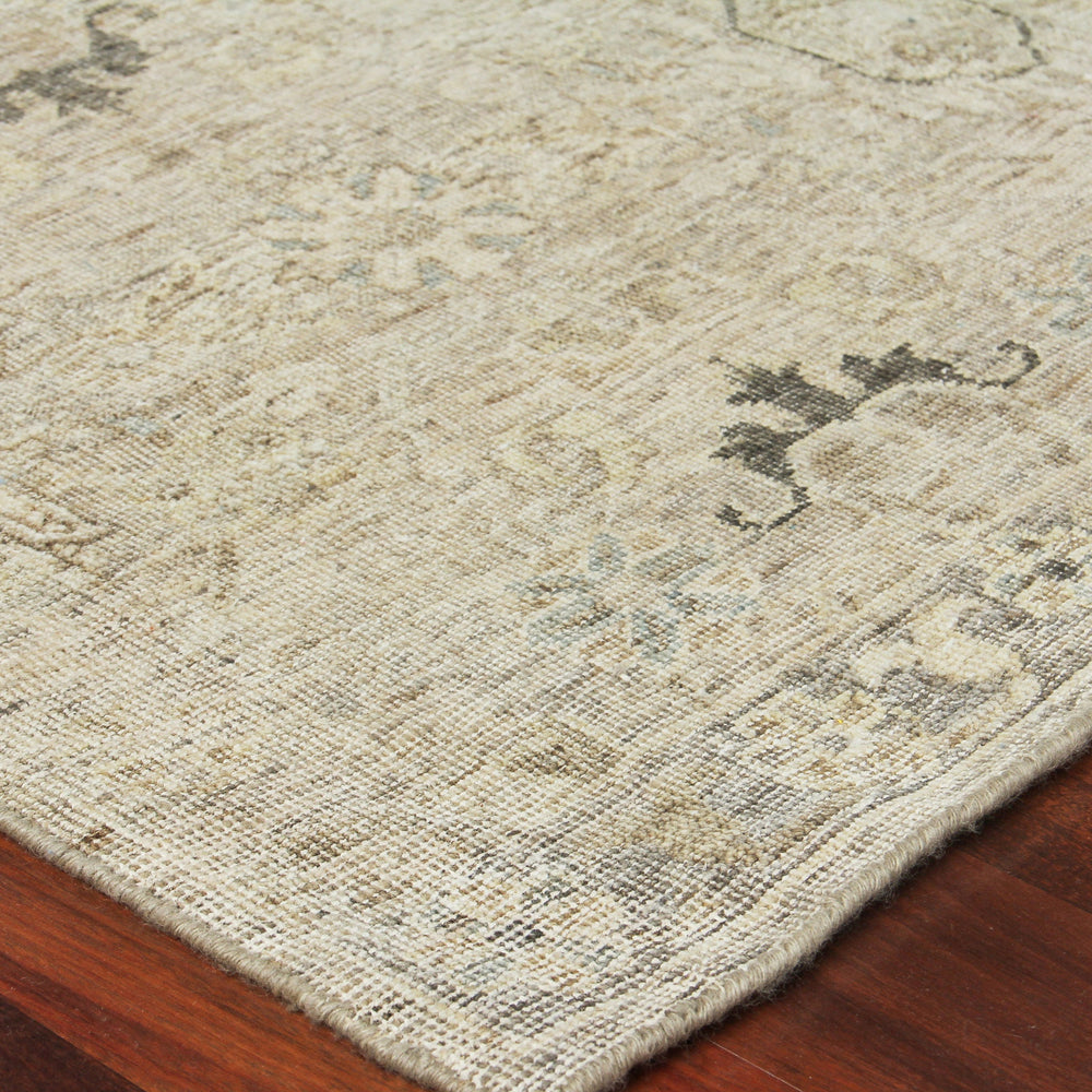 Distressed Medallion Area Rug