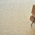 Tocayo Area Rug
