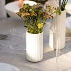 The Bud Vase Set