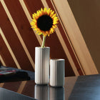 The Bud Vase Set