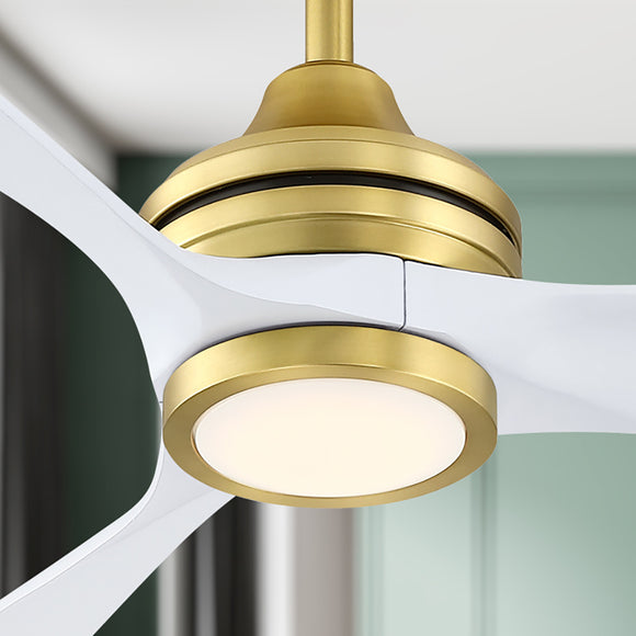 Aviara Ceiling Fan with Light