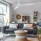Spitfire DC 72 Inch Ceiling Fan