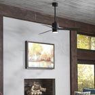 Zonix Outdoor Ceiling Fan with Light