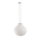 Isabelle Pendant Light