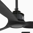 Just Ceiling Fan