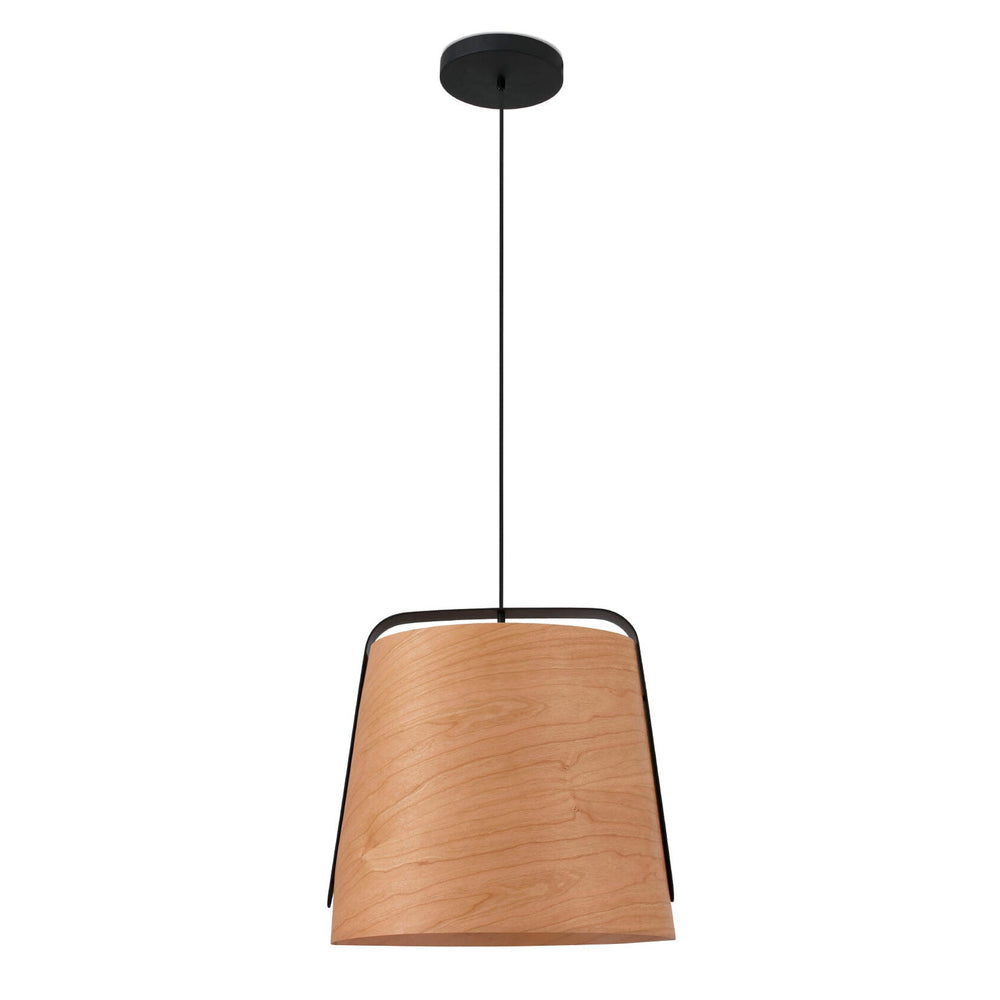 Stood Pendant Light