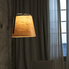 Stood Pendant Light