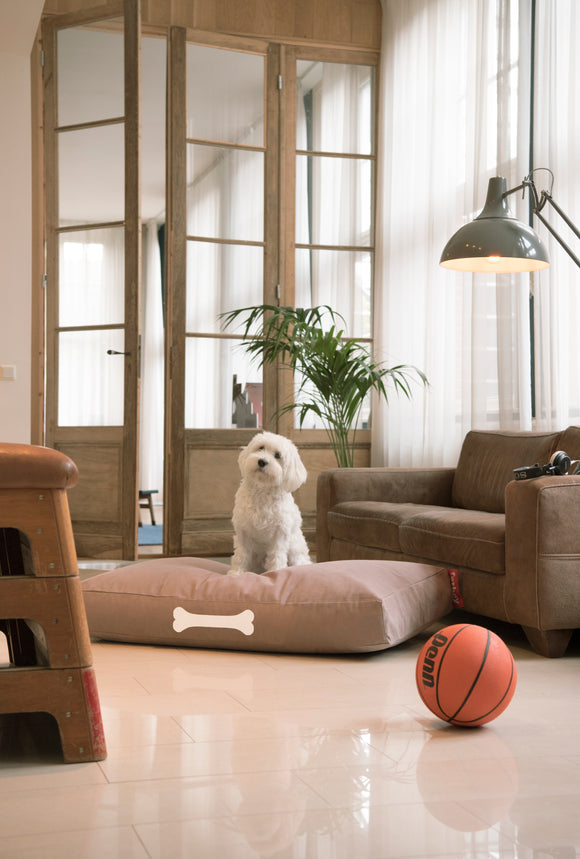 Doggielounge Stonewashed