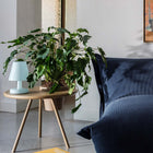 Edison The Ambiance Portable LED Table Lamp