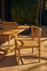 Felloe Outdoor Dining Chair (Set of 2)