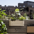 Bau Balcony Box Planter