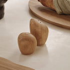 Cairn Salt and Pepper Shaker (Set of 2)