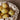 Dedali Bowl