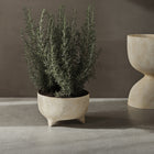 Evoke Planter