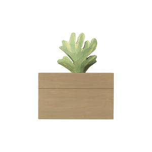 Harbour Coral Box