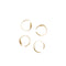 Holly Leaf Napkin Ring (Set of 4)  option Brass