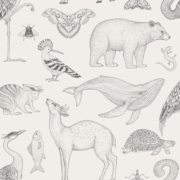 Katie Scott Animals Wallpaper